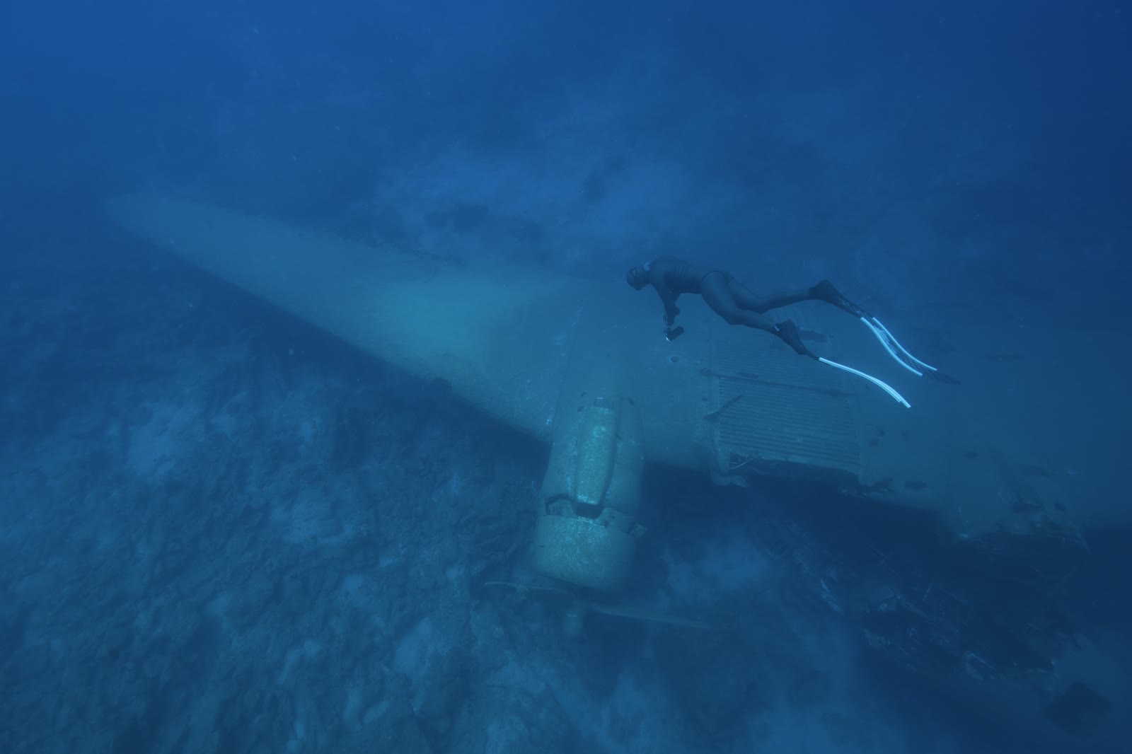 Deux apnéistes au-dessus de l'épave d'avion