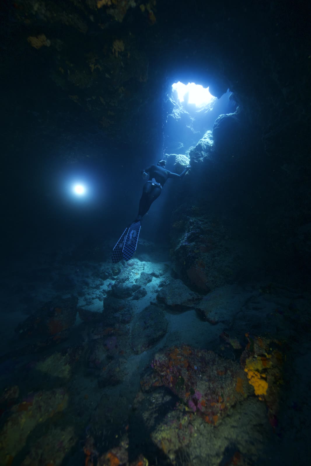 Apnéiste descendant un tombant de corail